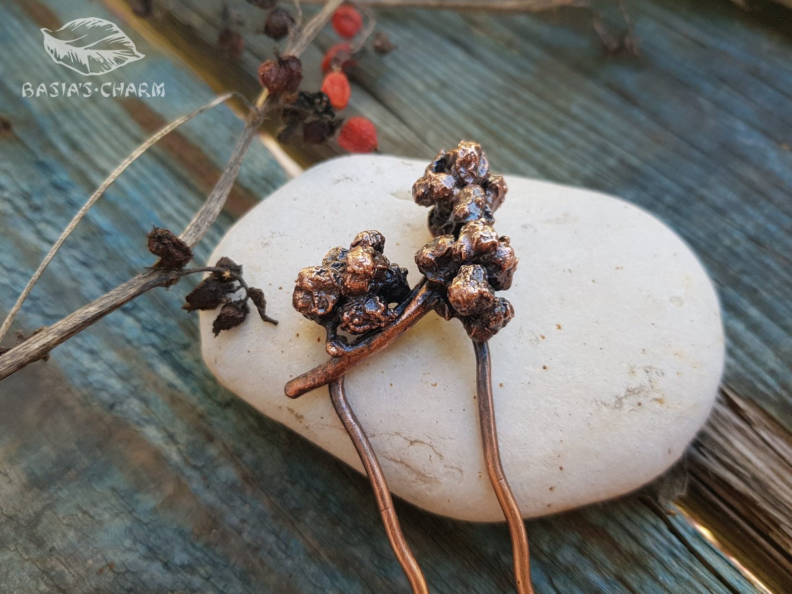 Hair fork berries of a climbing plant - Image 2