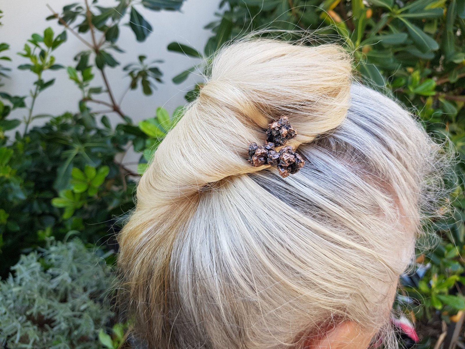 Hair fork berries of a climbing plant - Image 3
