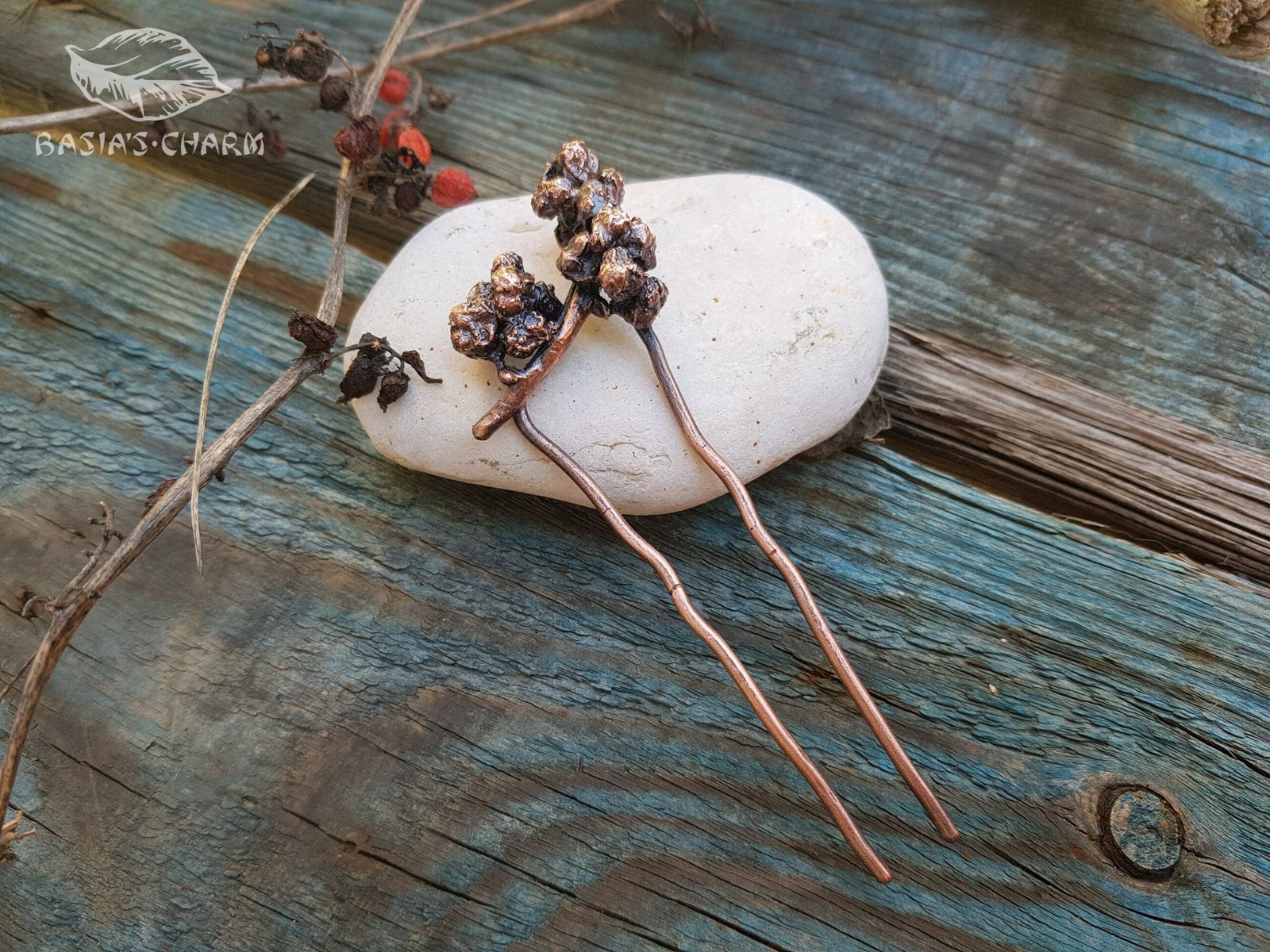 Hair fork berries of a climbing plant - Image 4