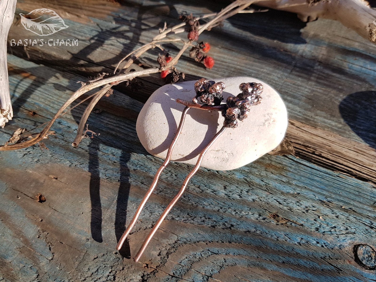 Hair fork berries of a climbing plant - Image 5