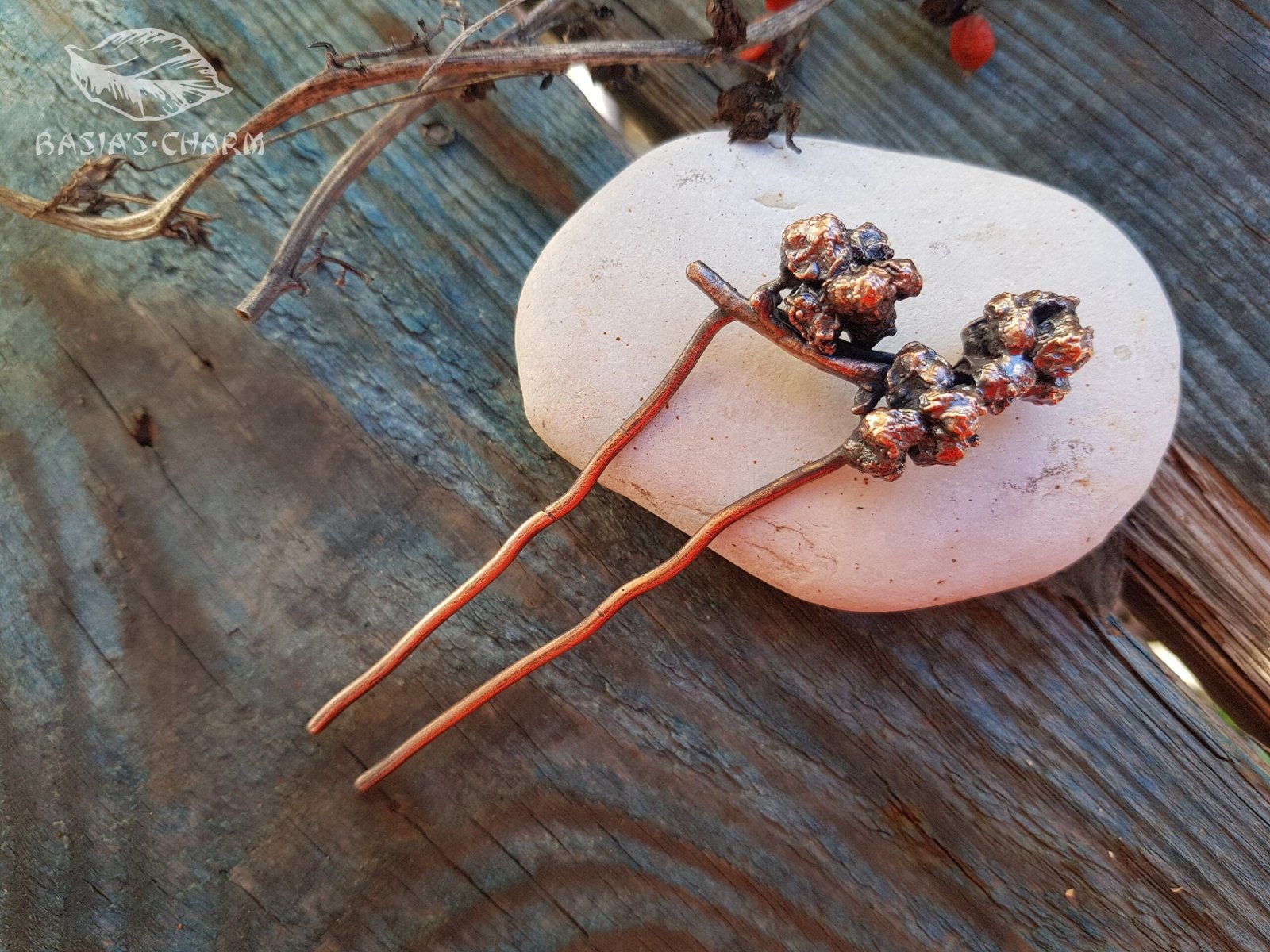 Hair fork berries of a climbing plant - Image 6