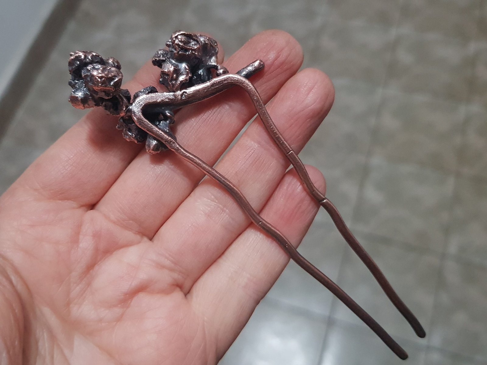 Hair fork berries of a climbing plant - Image 7