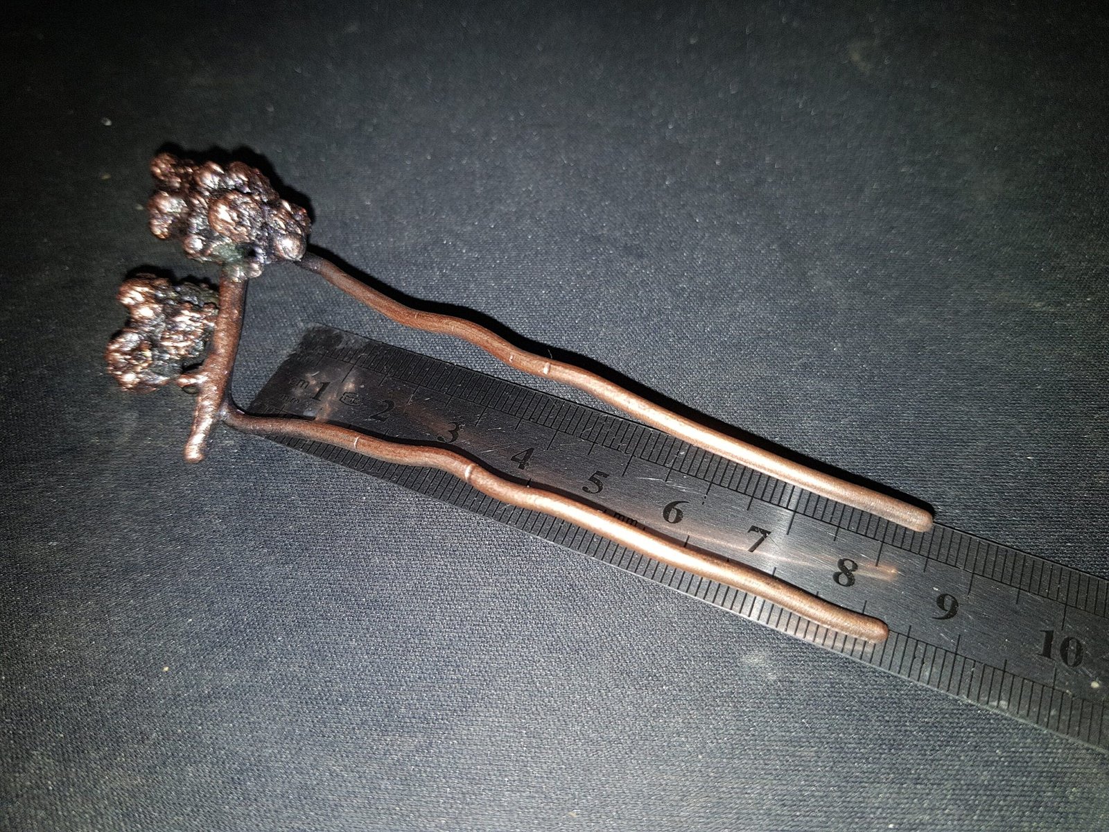 Hair fork berries of a climbing plant - Image 8