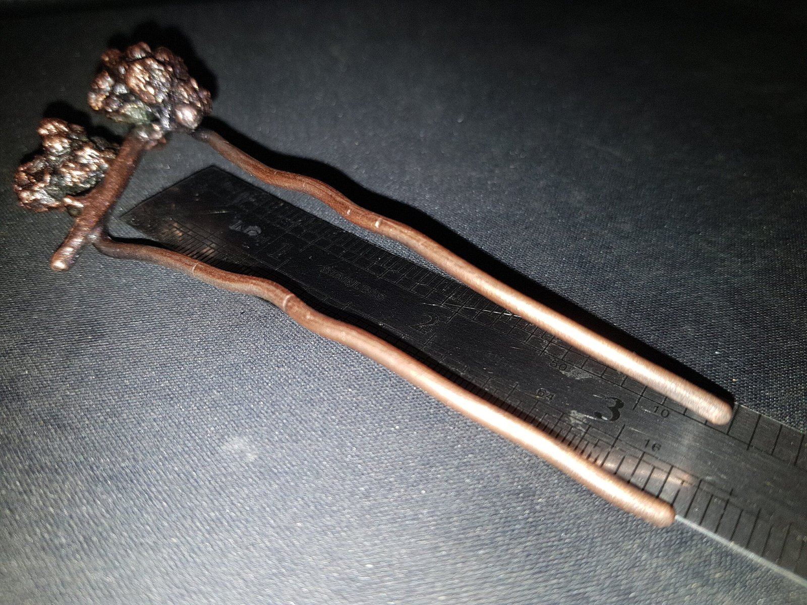 Hair fork berries of a climbing plant - Image 9