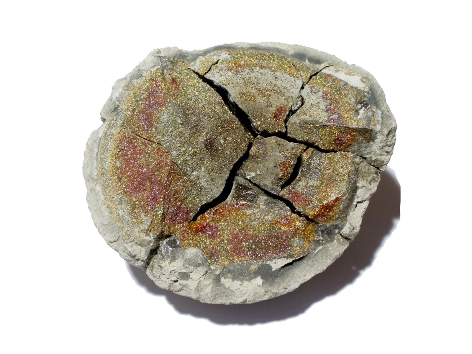 Rainbow Pyrite in nodule 1.1 lbs