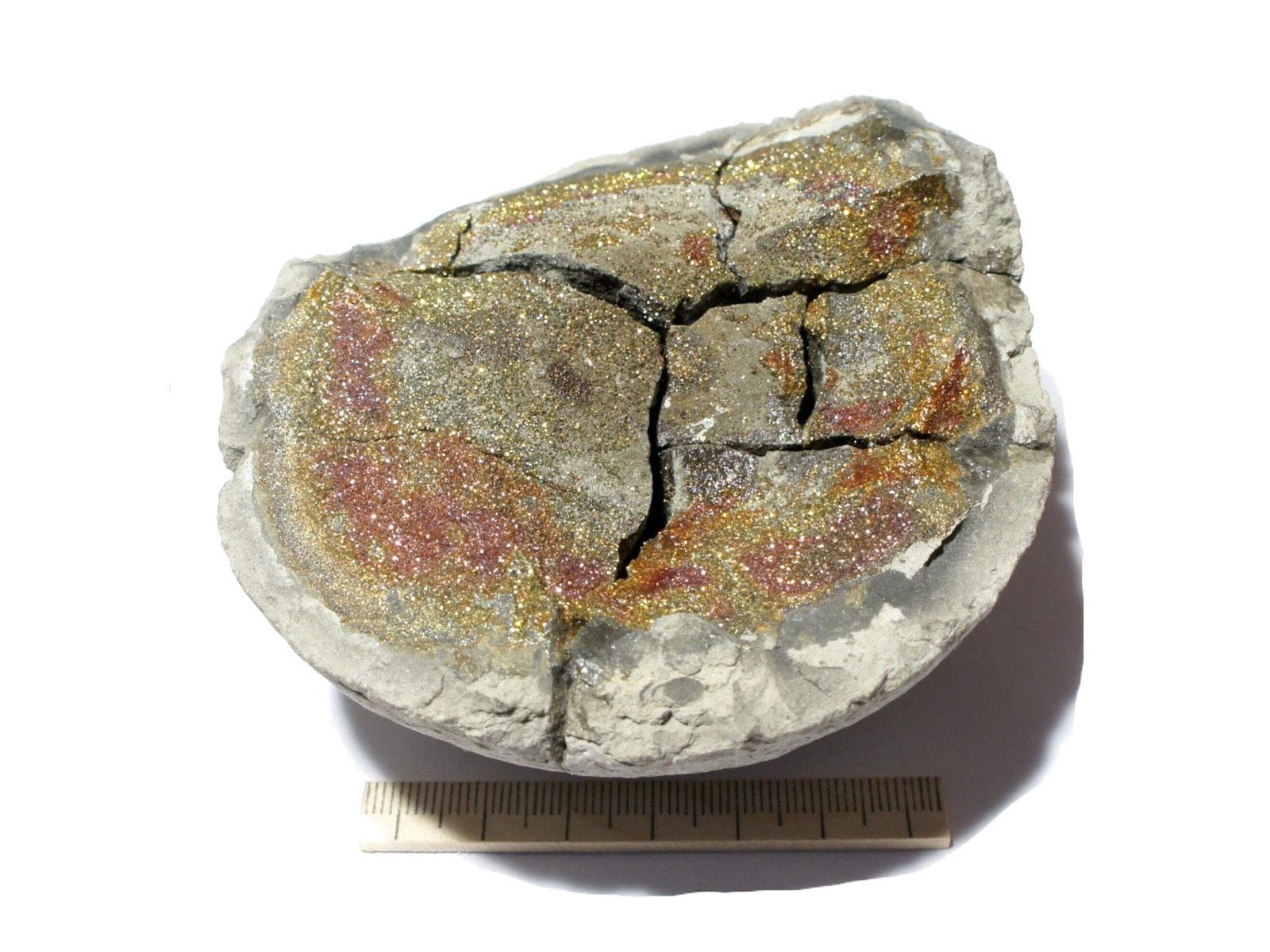 Rainbow Pyrite in nodule 1.1 lbs - Image 2
