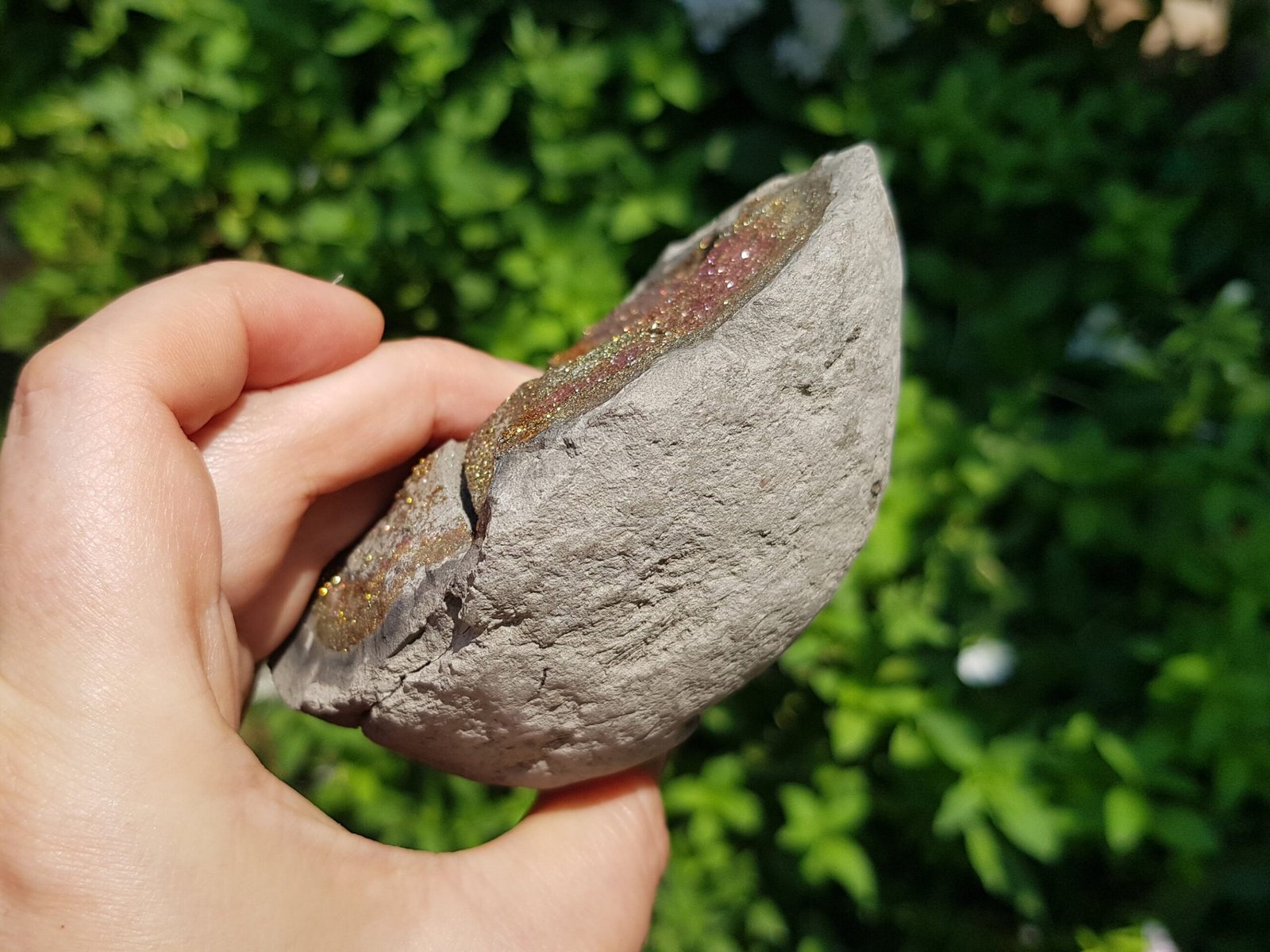 Rainbow Pyrite in nodule 1.1 lbs - Image 3