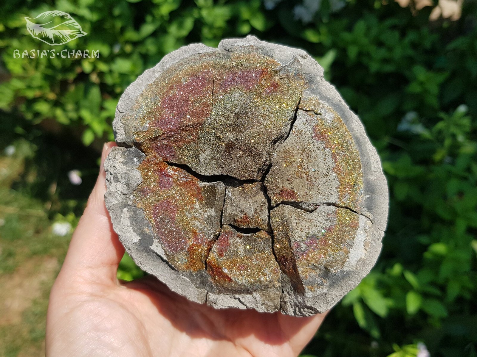 Rainbow Pyrite in nodule 1.1 lbs - Image 4