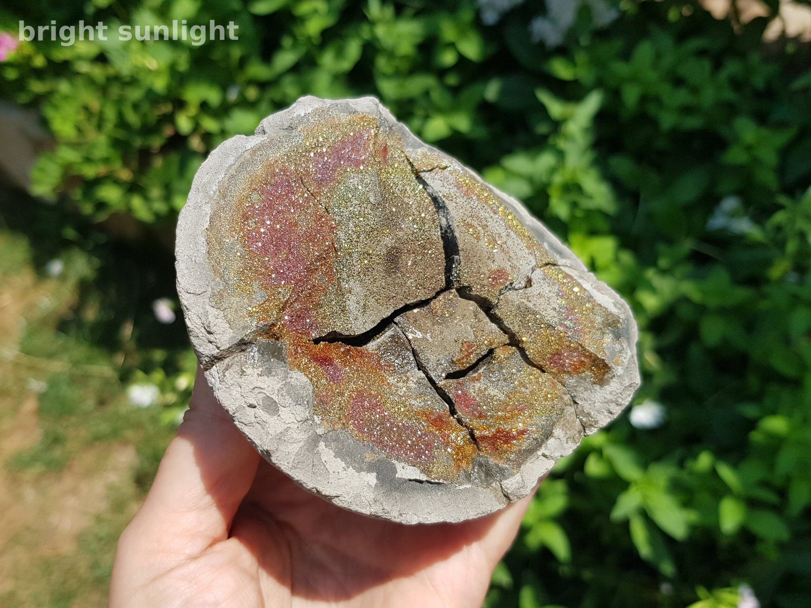 Rainbow Pyrite in nodule 1.1 lbs - Image 6
