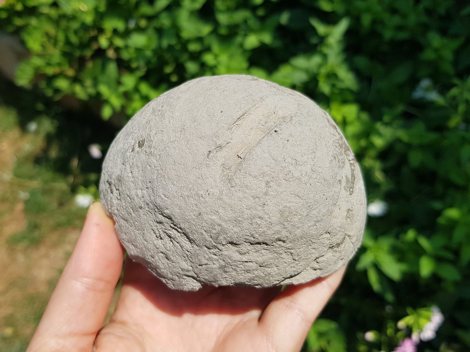 Rainbow Pyrite in nodule 1.1 lbs - Image 7