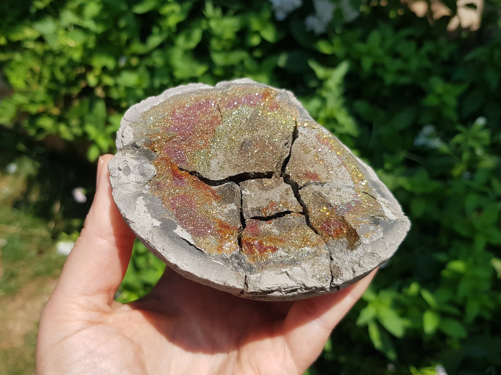 Rainbow Pyrite in nodule 1.1 lbs - Image 8