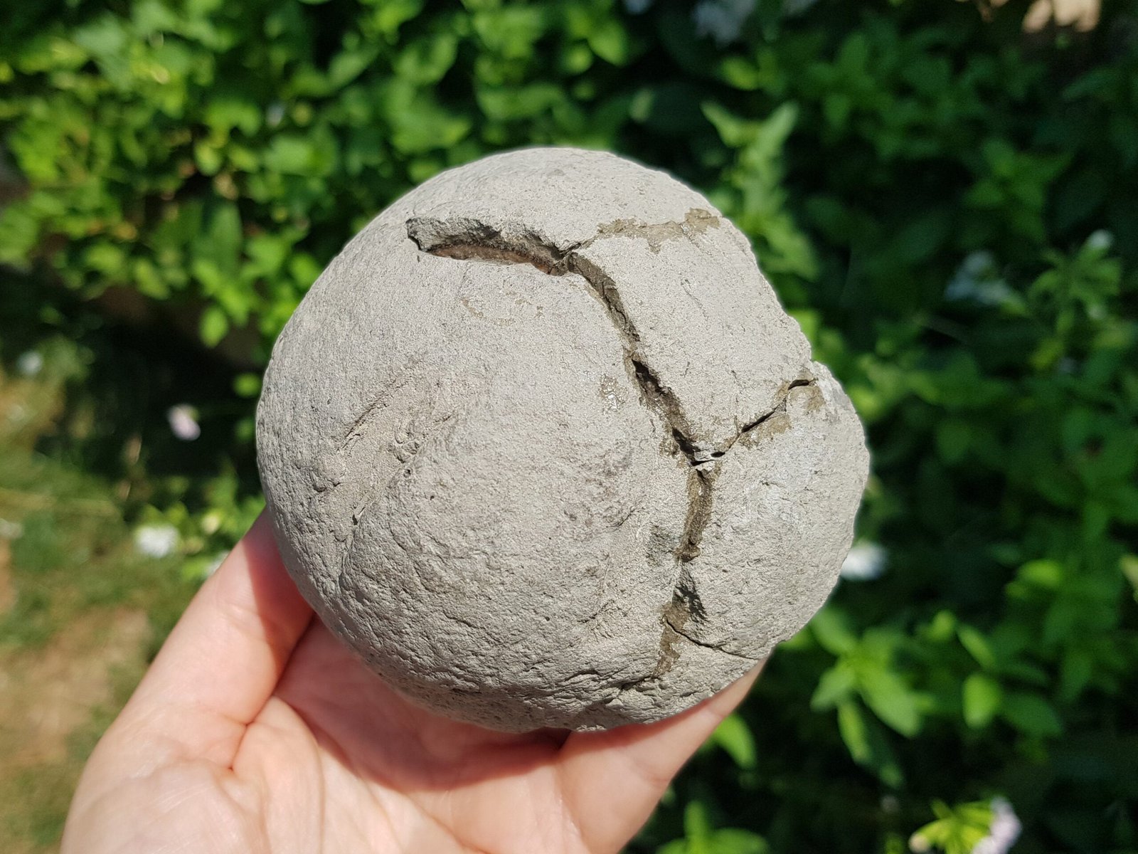 Rainbow Pyrite in nodule 1.1 lbs - Image 9