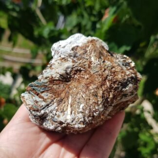 Astrophyllite crystals