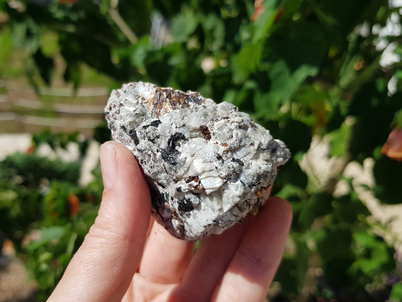 Astrophyllite with aegirine - Image 3