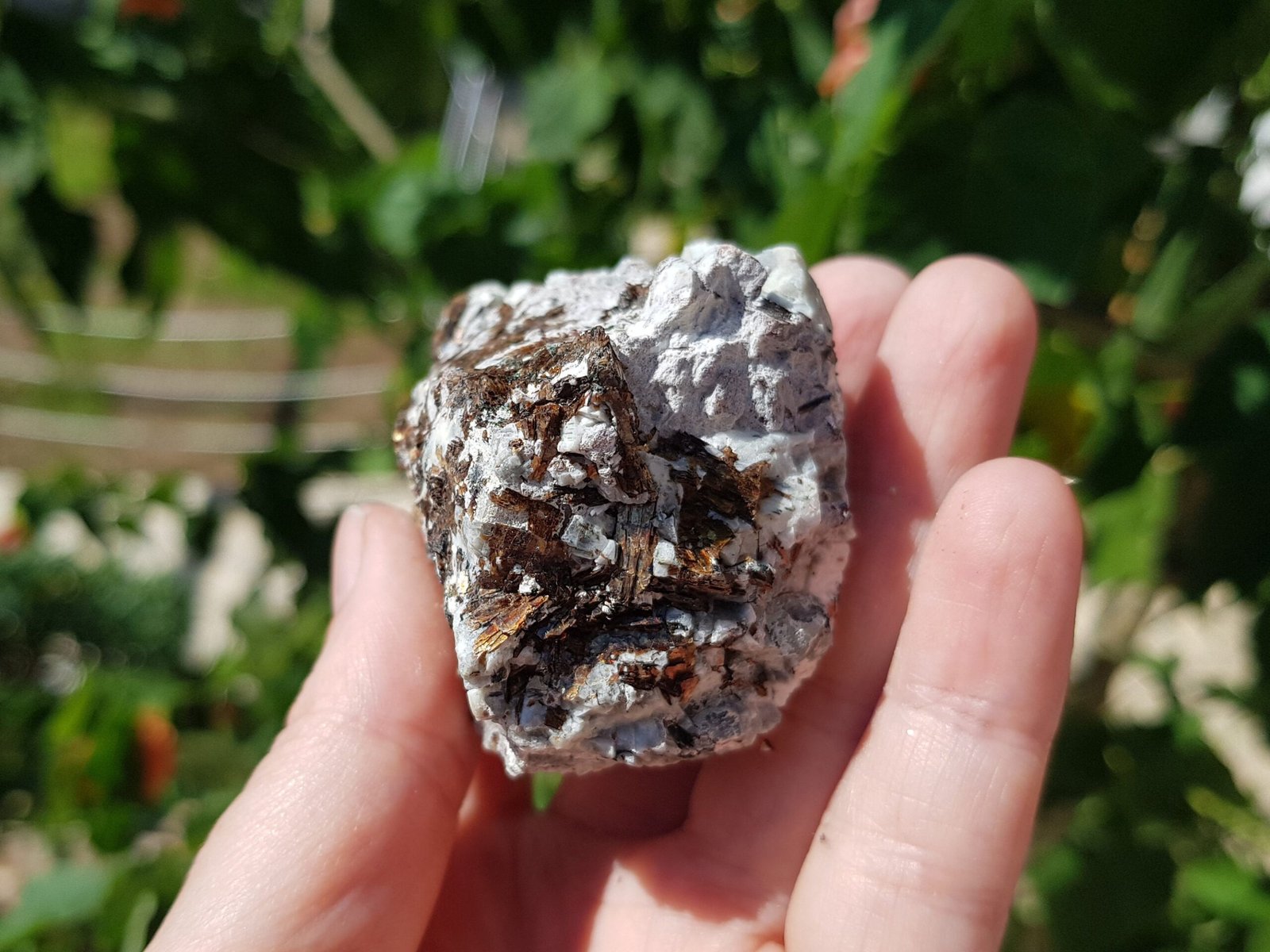 Astrophyllite with aegirine - Image 6