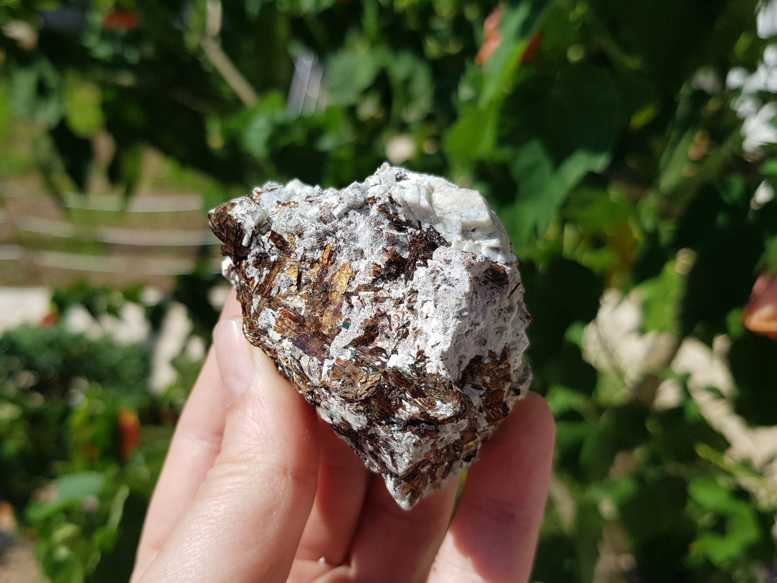 Astrophyllite with aegirine - Image 7