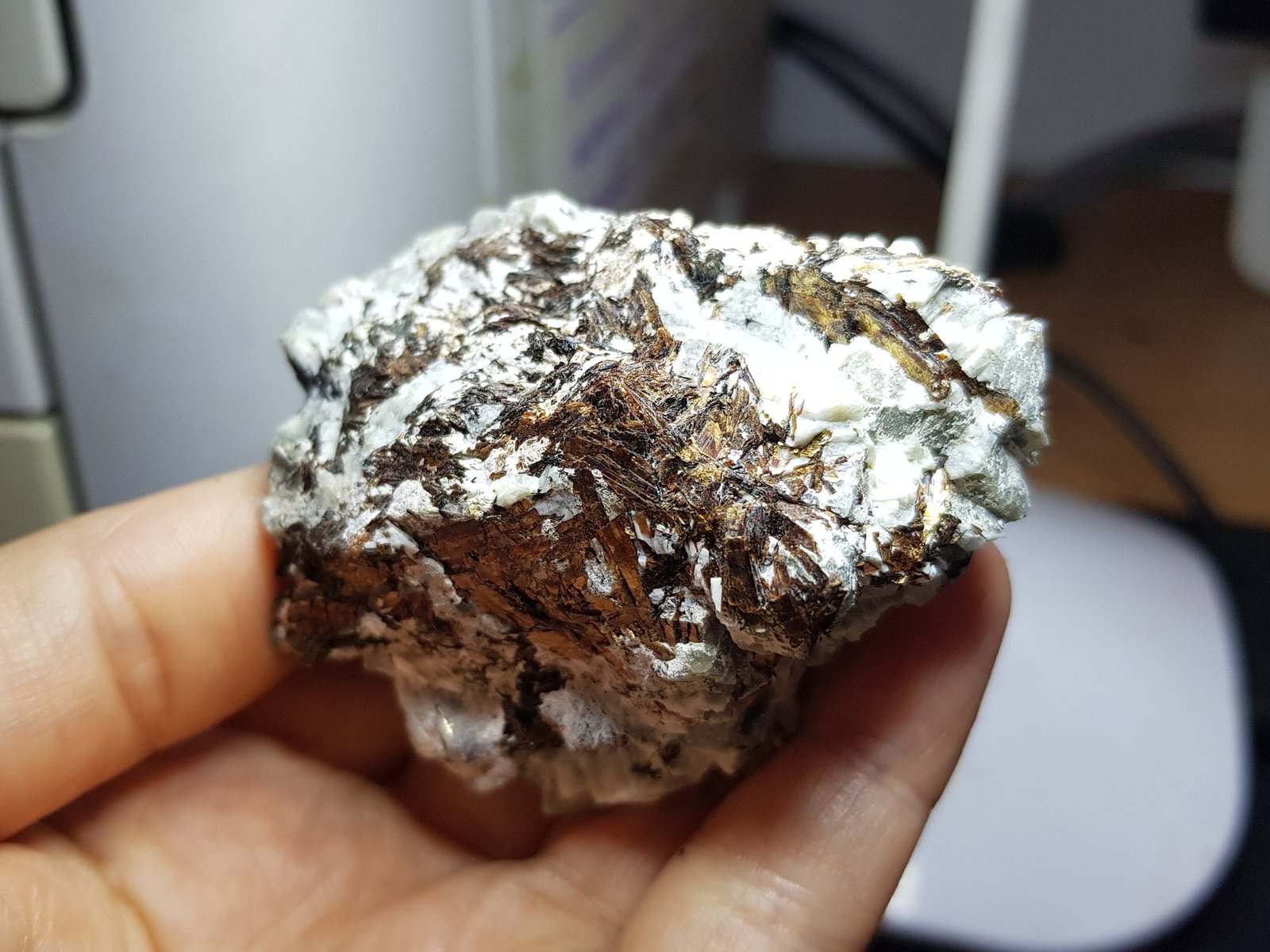 Astrophyllite with aegirine - Image 9