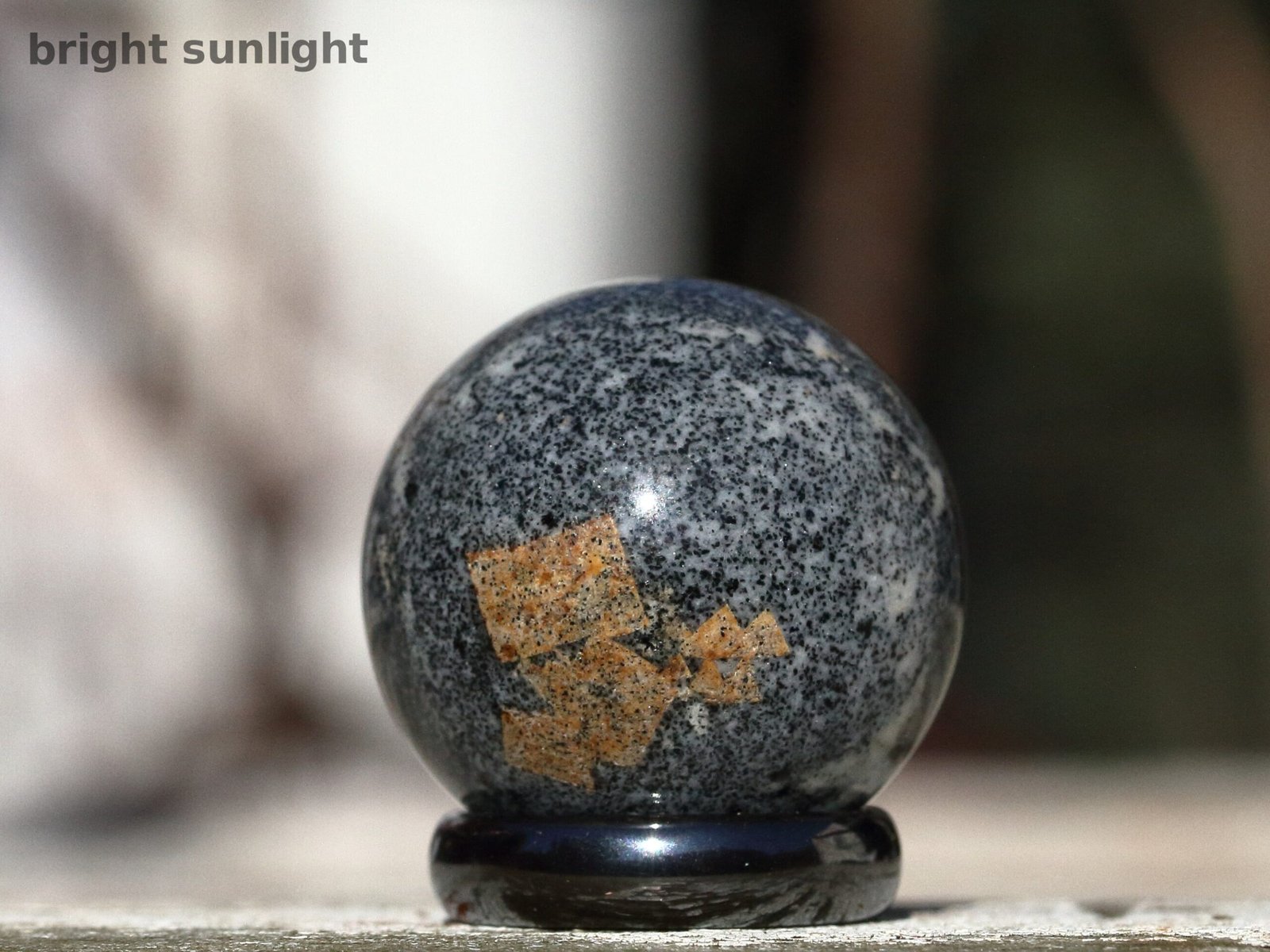 Narsarsukite in fenite - Image 5