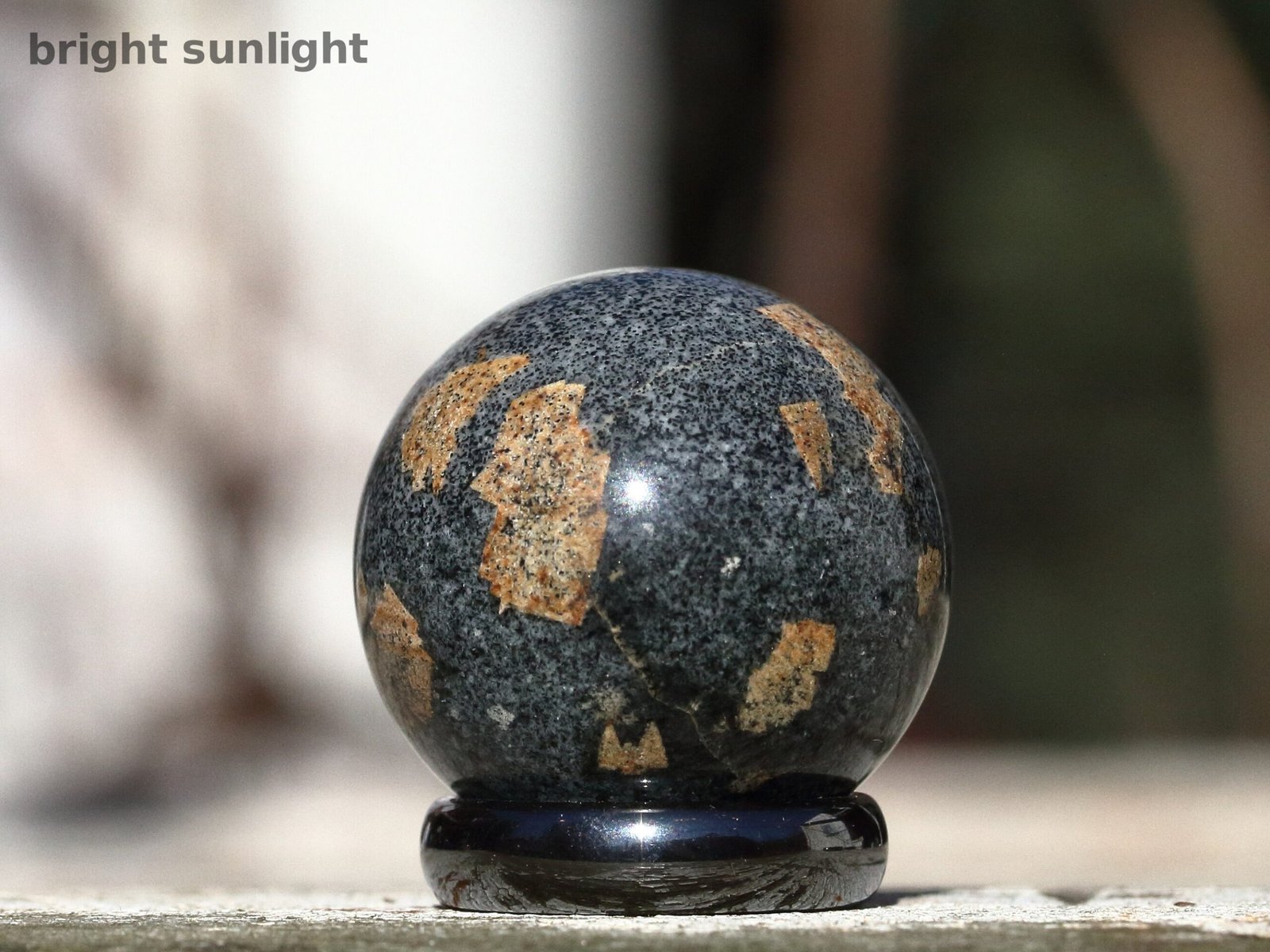 Narsarsukite in fenite - Image 7