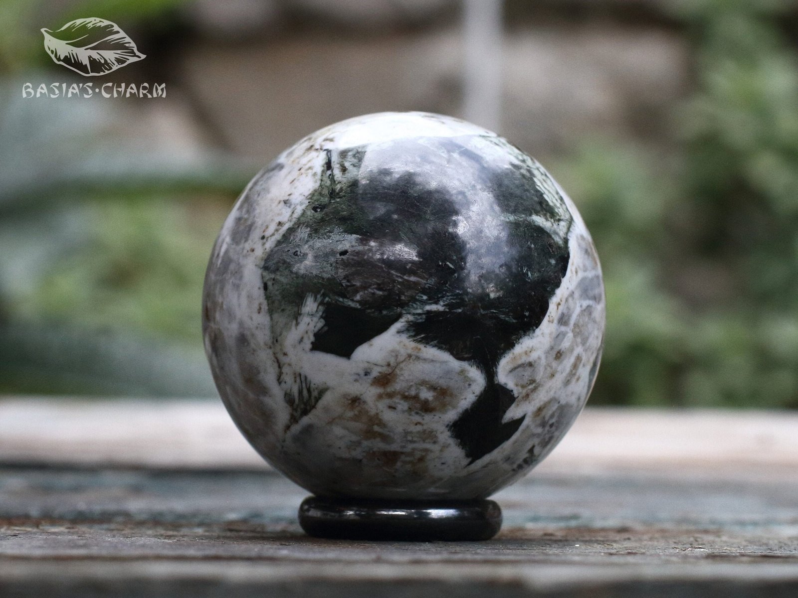 Aegirine with lorenzenite inclusion