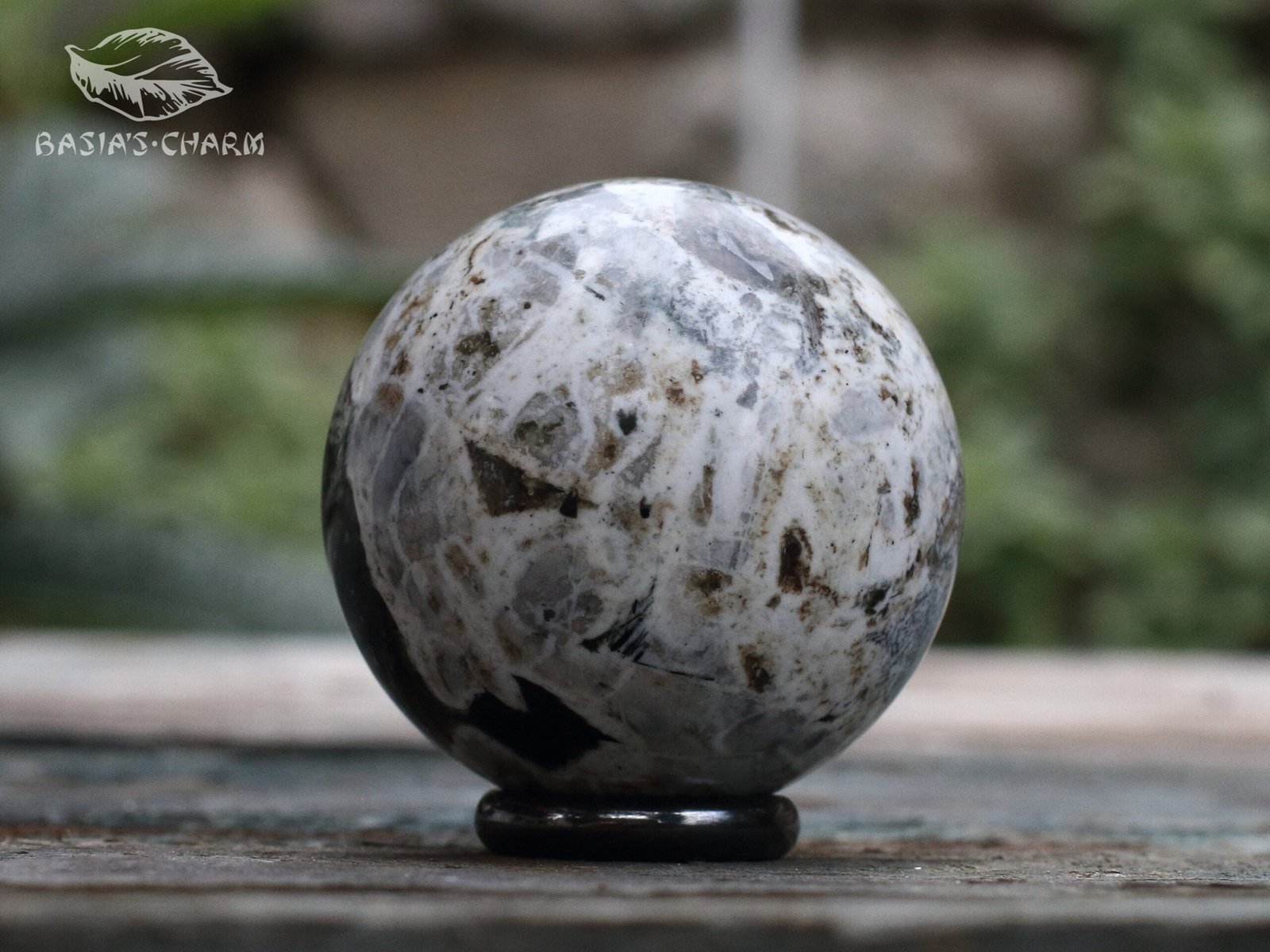 Aegirine with lorenzenite inclusion - Image 2