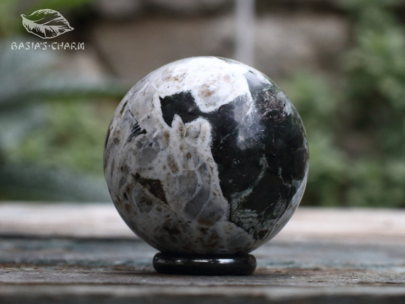 Aegirine with lorenzenite inclusion - Image 9