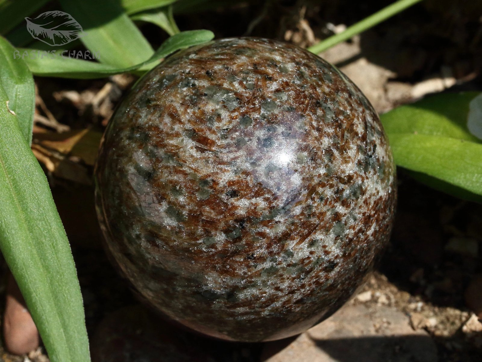 Titanite with nepheline - Image 6