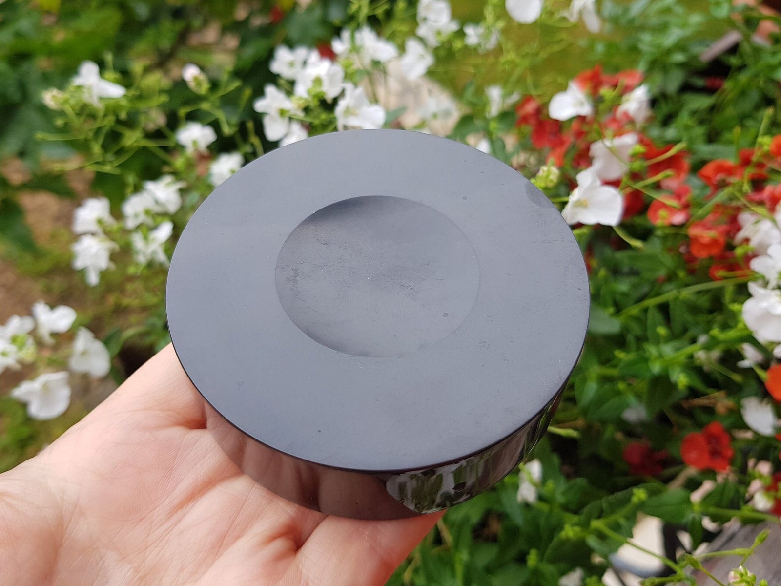 Ammonite simbircite in argillite with stand - Image 2