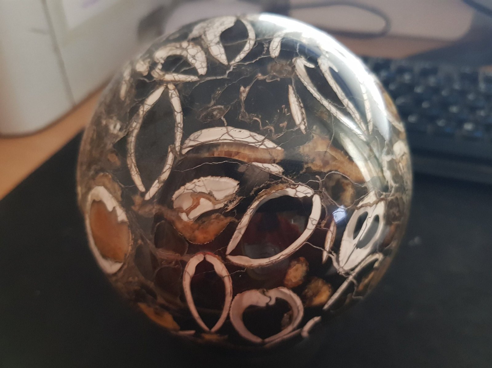 Ammonite simbircite in argillite with stand - Image 9